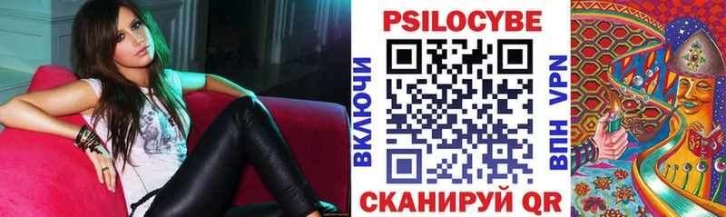 наркошоп  Свободный  Псилоцибиновые грибы Psilocybe 