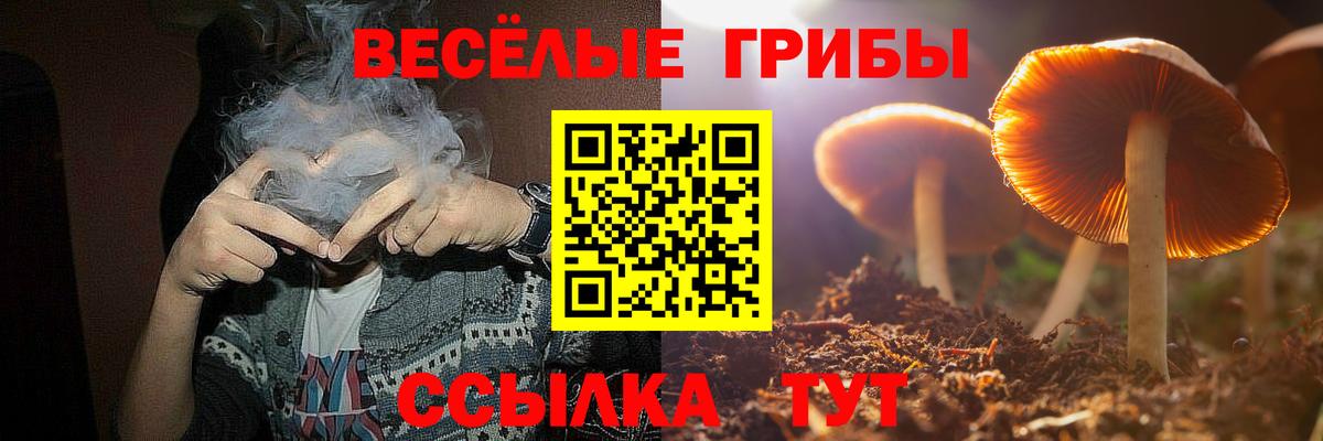 Свободный  Галлюциногенные грибы Psilocybine cubensis  где можно купить   Вход с VPN 